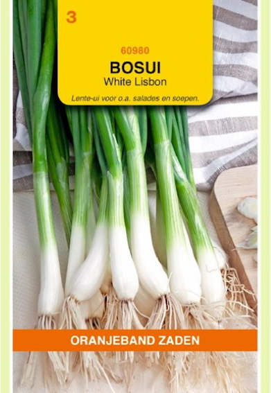 Spring onion White Lisbon (Allium cepa) 1000 seeds OBZ